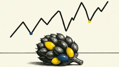 Palm Oil Futures Slip Ahead Of Key Data Release