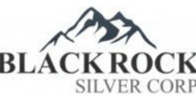 Blackrock Silver Announces Filing of Tonopah West Technical Report
