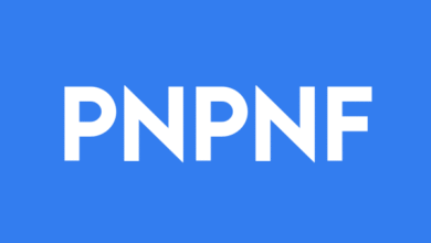 Power Nickel Rebrands as Power Metallic Mines Following Major Copper-PGM Discovery