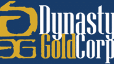 Dynasty Continues Drilling at Pelham and South Pelham Targets at Thundercloud