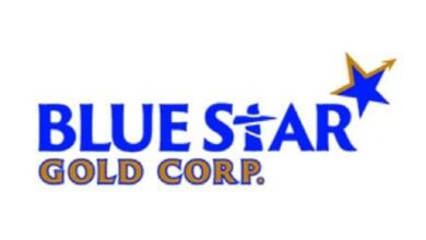 Blue Star Gold Announces .5M Non-Brokered Private Placement