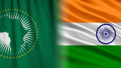 Shared Histories, Emerging Futures: Africa and India in a Multipolar World