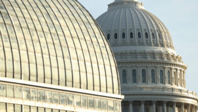 Surgeon general nominee Casey Means goes into labor, delaying confirmation hearing