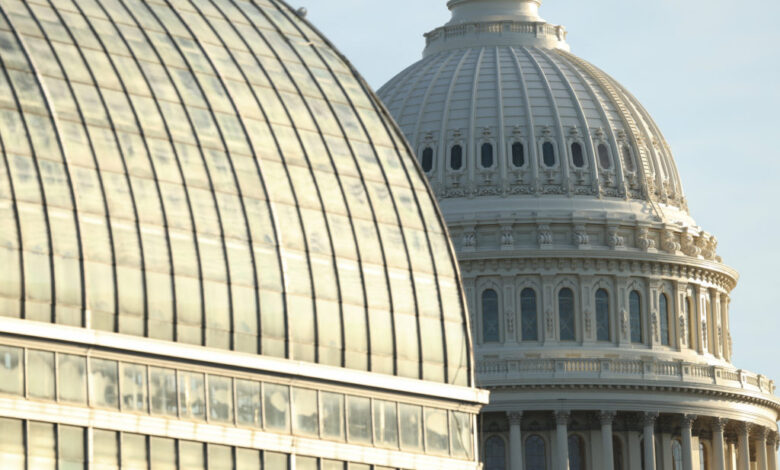 Surgeon general nominee Casey Means goes into labor, delaying confirmation hearing