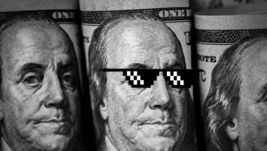 Roundhill relaunches Meme Stock ETF on retail trading hot streak