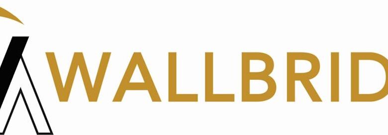 Wallbridge Mining Announces Closing Of .14 Million Public Offering