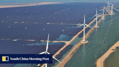 China’s clean-energy stocks closing gap with global peers as renewables surge