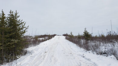 Pinch-Yourself Grades: Power Metallic’s Latest Drill Results Unlock Multi-Mine Scale at NISK – Article