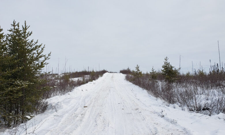 Pinch-Yourself Grades: Power Metallic’s Latest Drill Results Unlock Multi-Mine Scale at NISK – Article