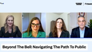 Experts Offer Essential Strategies for IPO Success