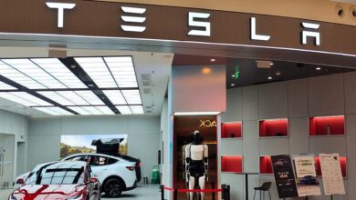 Tesla Q3 Earnings Live Updates: Stocks Dips on Earnings Miss