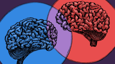 Nearly 70% of students value political alignment when forming friendships, Herald poll finds