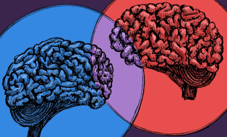Nearly 70% of students value political alignment when forming friendships, Herald poll finds