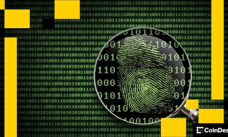 Centralized Exchanges Are Still Criminals’ Favorite Crypto Money Laundering Tool