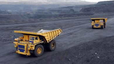 Gorilla Gold Mines Joins ASX Ordinaries Stocks as Investor Interest Grows