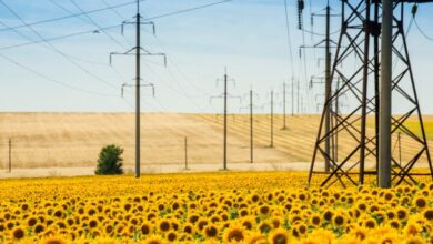 Li-FT Power Sells 313 Quebec Claims to Power Metallic Mines