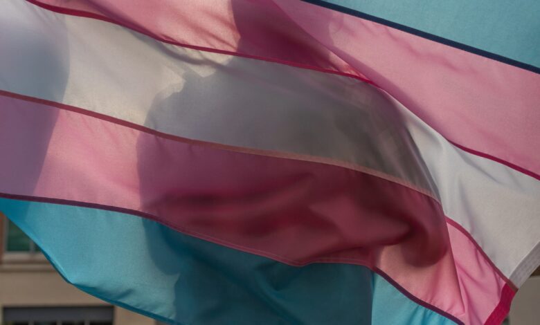 Republicans Go All In on Anti-Trans Messaging