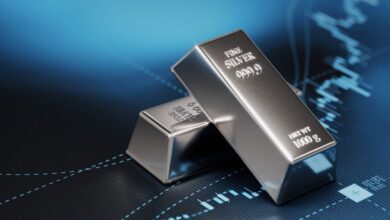 Best silver IRA companies in 2025: What you need to know