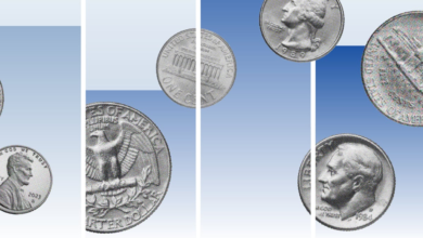10 Best Blue-Chip Stocks to Invest in for the Long Term
