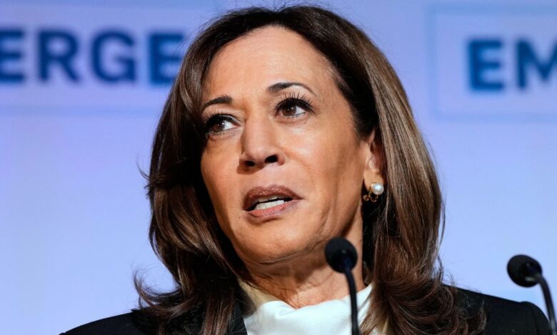 Kamala Harris leaves door open for 2028 presidential run