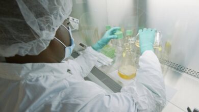 Eli Lilly, Merck and Johnson & Johnson gain on strong pharma outlook