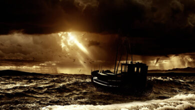 Cboe: Navigating Volatility – The DESK