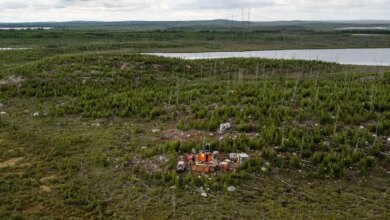 Power Metallic delivers first Lion-style mineralisation