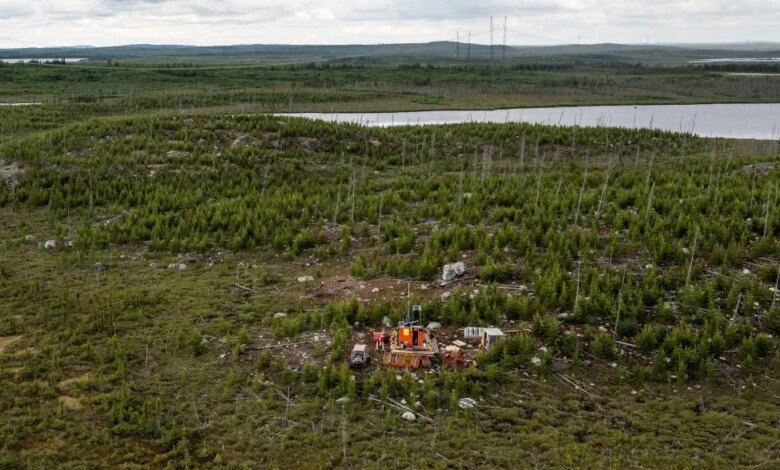 Power Metallic delivers first Lion-style mineralisation