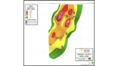 Power Metallic Initiates Metallurgical Testing of Lion Deposit Phase 1 Metallurgy Recovery Contracted to SGS Canada Inc., Quebec City, QC and Lakefield, ON
