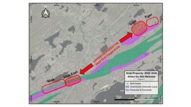 Power Metallic intercepts 12.54 meters of 10.99% CuEq at the Lion Zone and 11.25m of 1.22% CuEq at Nisk East