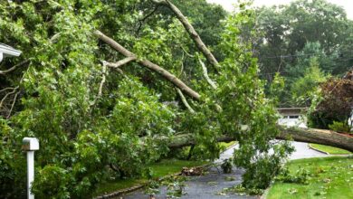 Dave Ramsey Rips Into A Major Insurance Company For Not Paying A Family’s Claim After A Storm, But He Didn’t Spare The Caller Either