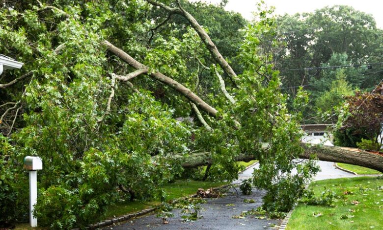 Dave Ramsey Rips Into A Major Insurance Company For Not Paying A Family’s Claim After A Storm, But He Didn’t Spare The Caller Either