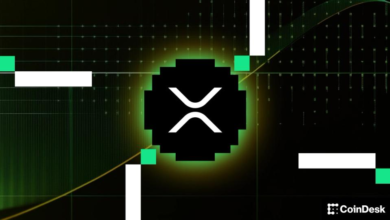 Teucrium CEO Praises ‘XRP Army,’ Calls Firm’s Leveraged XRP ETF Uptake ‘Extraordinary’