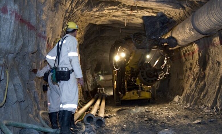 World’s top cocoa producer, Ivory Coast, expands its gold ambitions with new mining permits