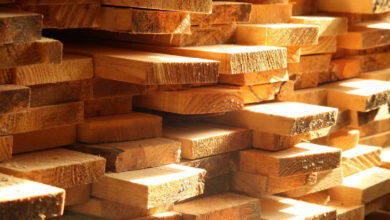 Scientists make incredible breakthrough that could change future of construction: ‘A significant advancement’