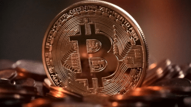 Trump Mulls ,000 Tariff Payments: Potential Impact on Bitcoin & Stocks