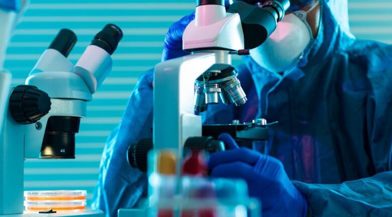 Waters Surges 10% After New Pharma Collaboration Has the Market Priced in Future Growth?