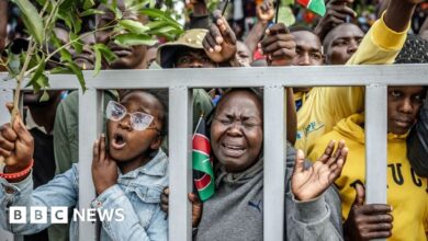 Mourners bid farewell to ex-PM Raila Odinga in his political heartland