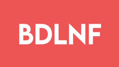 Badlands Details Bella Project Sale: C0K + 17M Shares