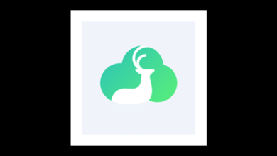 Bitdeer Technologies Group Schedules Q3 2025 Earnings Conference Call for November 10, 2025