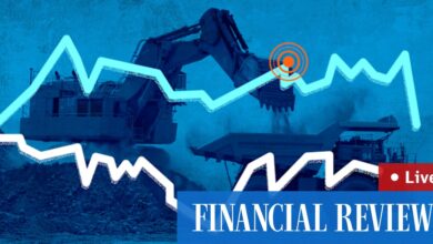 ASX falls; rare earths stocks plunge amid profit taking