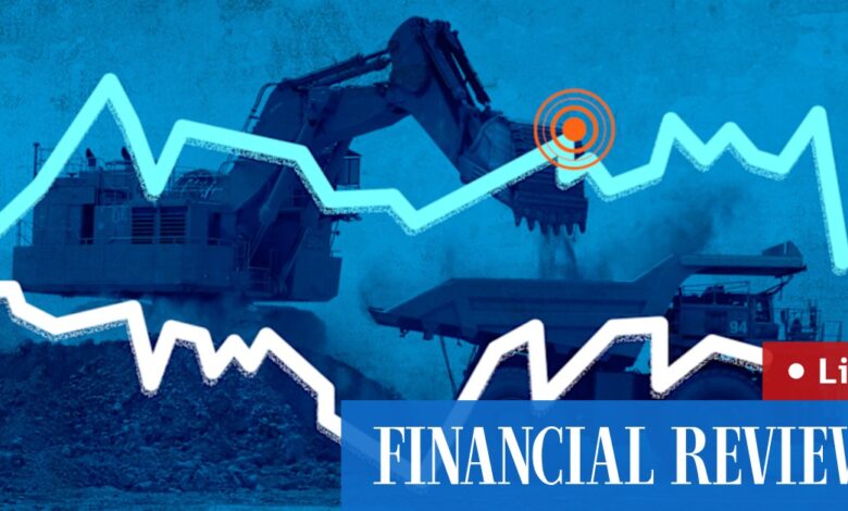 ASX falls; rare earths stocks plunge amid profit taking