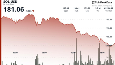 Declines Despite Spot ETF Launch