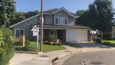 Are ‘snow birds’ going extinct?