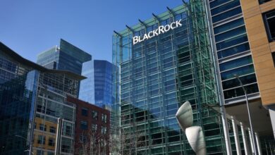 BlackRock sees opportunity in market pivot points as global bond landscape splits