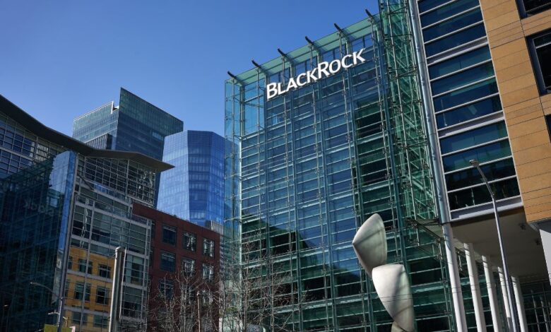 BlackRock sees opportunity in market pivot points as global bond landscape splits