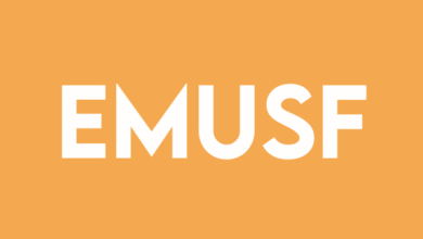 Electric Metals (USA) Limited Announces Continuance to British Columbia