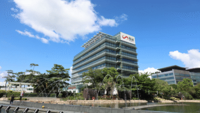 Chinese tech firm listings influx boosts HK capital market