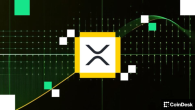First U.S. Spot XRP ETF Surpasses 0M in Assets Under Management