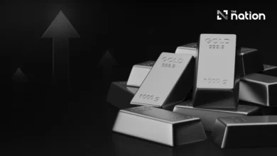 Exploring the factors behind the rise and market drivers